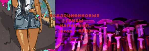 соль ск Алексин