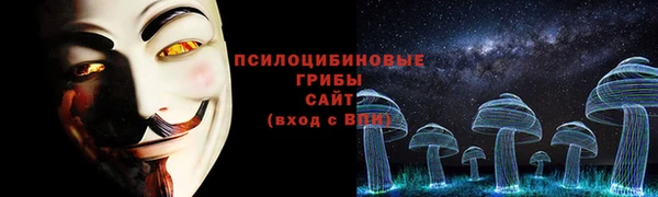 эйфоретик Аркадак