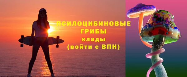 дмт Армянск