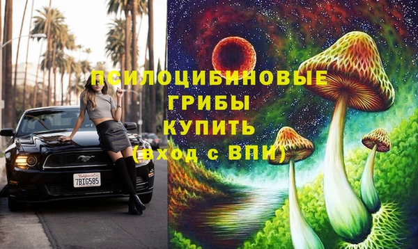 дмт Армянск
